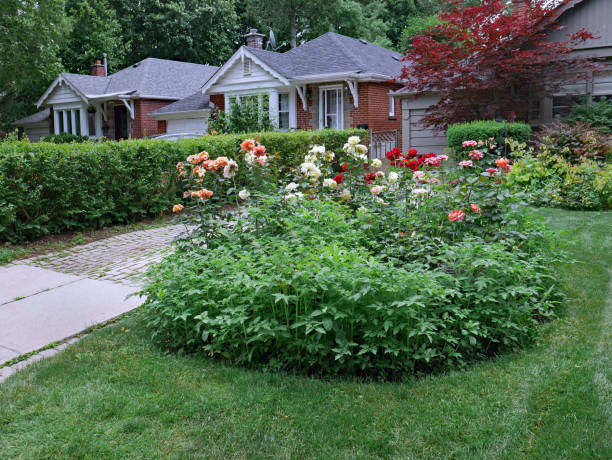 small houses with large front gardens Ontario, Canada - June 30, 2021: Old suburban street with small one floor houses with large front gardens front yard stock pictures, royalty-free photos & images