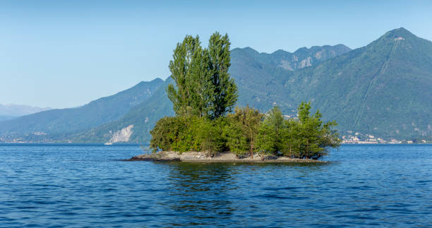 Small island full of trees and no people stock photo