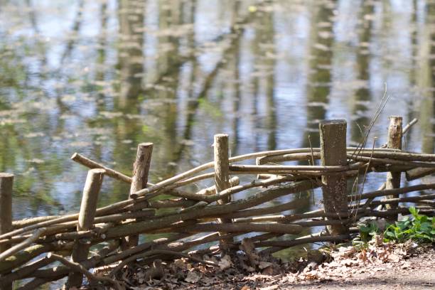A small log fence by the waters edge. stock photo