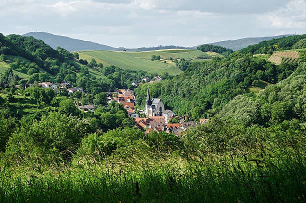 Small Odenwald village in Germany Small village in the Odenwald located between Frankfurt am Main and Heidelberg odenwald stock pictures, royalty-free photos & images