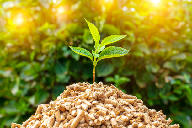 small pile of wood pellets with on top of green leaves. small pile of wood pellets with on top of green leaves. Eco-sustainable biomass concept. granule stock pictures, royalty-free photos & images