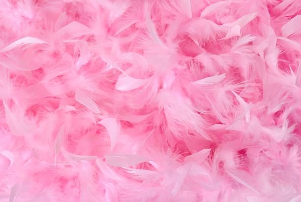 Small pink feathers in pile | Background stock photo
