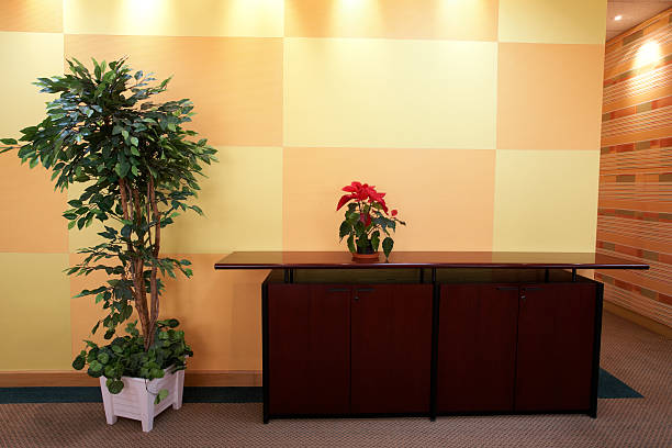 Small plant in office lobby Small plant against an orange block pattern in an office lobby on a brown cabinet top with a evergreen tree on the side external wall covering stock pictures, royalty-free photos & images