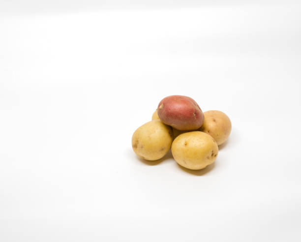 Small potatoes in a heap isolated on white. stock photo