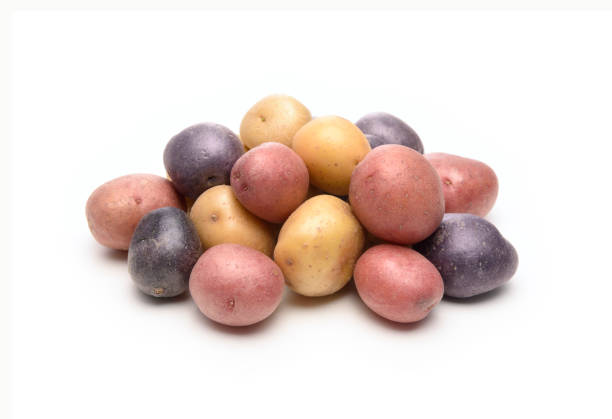 Small potatoes stock photo