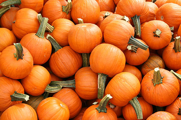small pumpkins stock photo