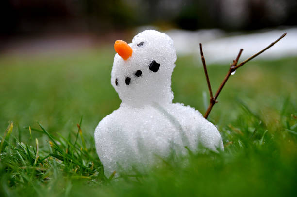 Small snowman braves the thaw period  melting snow man stock pictures, royalty-free photos & images