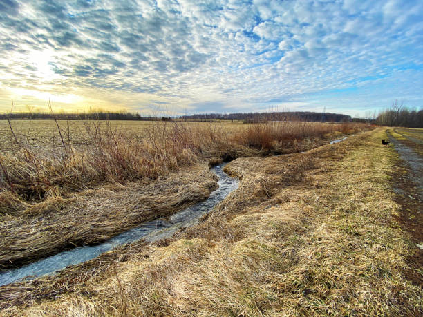 A small stream between fields. stock photo