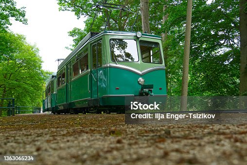 istock Small tourist green train in forest. Miniature narrow gauge train near big trees. 1363065234