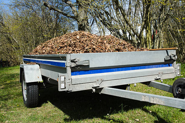 Small trailer loaded with dry leaves stock photo