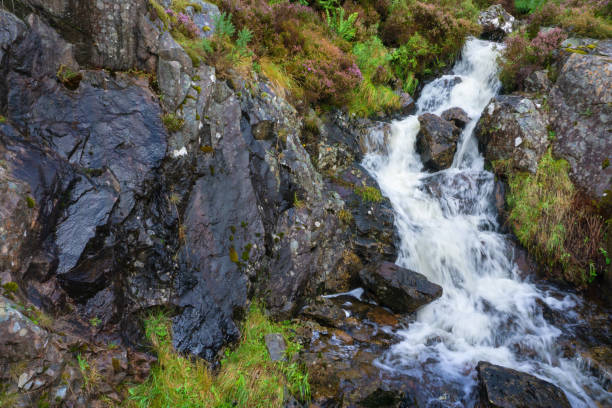 A small waterfall at a stream stock photo