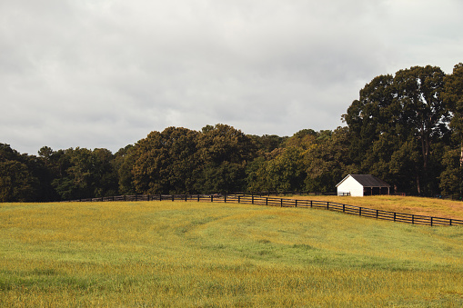 A small white barn and black wooden fence against a background of grasses and trees with hints of autumn color and a cloudy sky