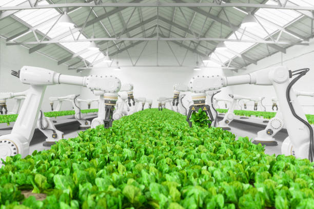 smart farming technology with robotic arms harvesting vegetables in automated greenhouse - technology picking agriculture imagens e fotografias de stock