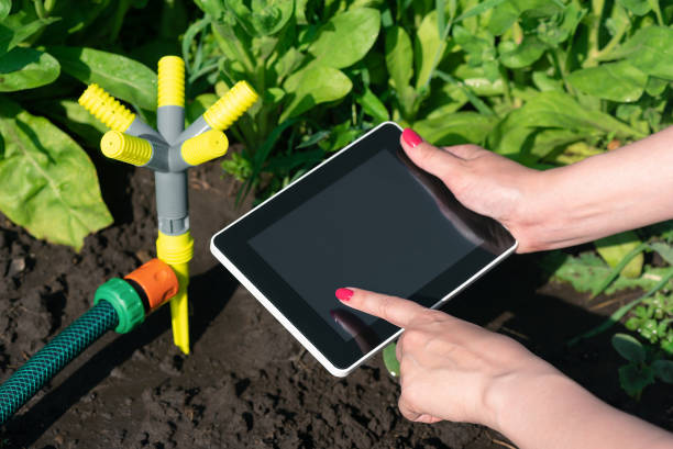 concetto di applicazione del giardino intelligente. - software agricoltura irrigazione foto e immagini stock
