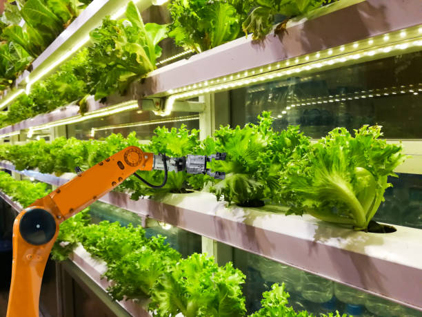 Smart robotic farmers in agriculture futuristic robot automation to vegetable farm stock photo