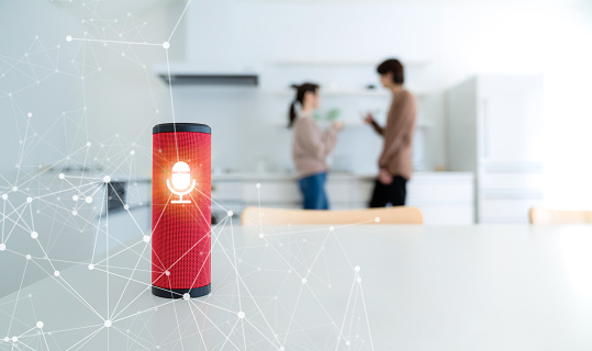 alexa enabled bluetooth speaker