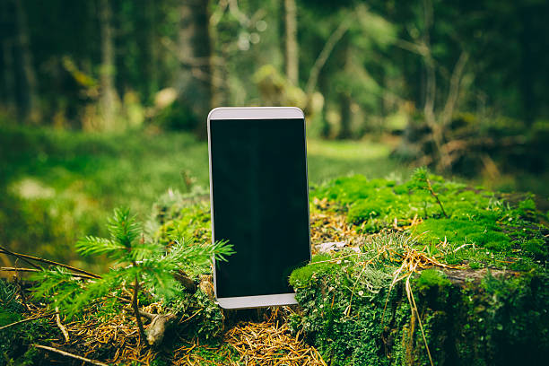 Smartphone in nature. stock photo