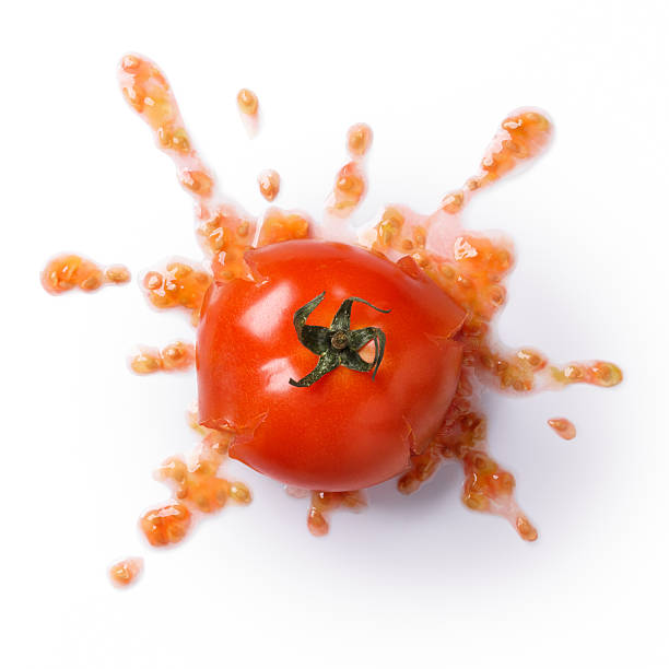smash tomato crushed or splattered tomato isolated on white background crushed stock pictures, royalty-free photos & images