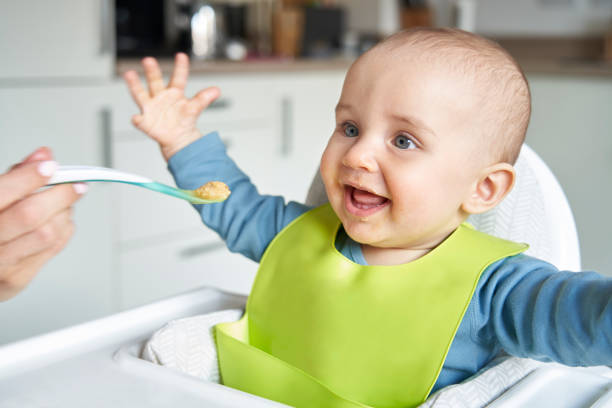 Smiling 8 month Old Baby Boy At Home In High Chair Being Fed Solid Food By Mother With Spoon stock photo