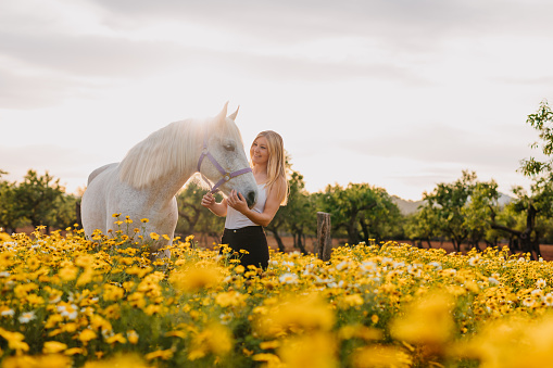 Smiling and beautiful blonde woman standing with her white horse in the middle of a yellow flowering spring meadow during the sunset in Majorca. Part of a series.