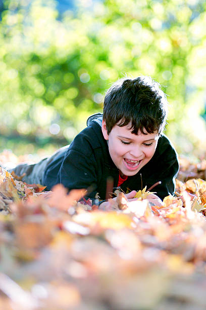 Smiling boy looking at autumn leaves stock photo