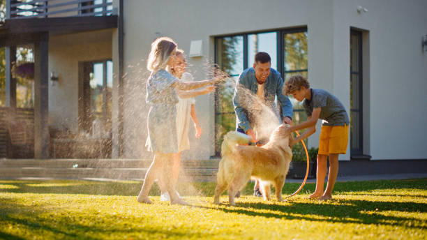 Smiling Father, Daughter, Son Play With Loyal Golden Retriever Dog, Spraying Each other with Garden Water Hose. On a Sunny Day Family Having Fun Time Together Outdoors in Backyard. Smiling Father, Daughter, Son Play With Loyal Golden Retriever Dog, Spraying Each other with Garden Water Hose. On a Sunny Day Family Having Fun Time Together Outdoors in Backyard. golden hour stock pictures, royalty-free photos & images