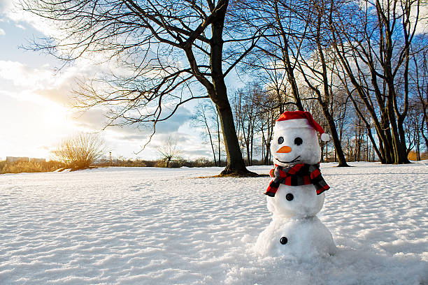 Smiling snowman. Picturesque winter landscape. Holiday mood. Smiling snowman and Christmas decorations. Picturesque winter landscape. Holiday mood. Beautiful New Year composition. melting snow man stock pictures, royalty-free photos & images