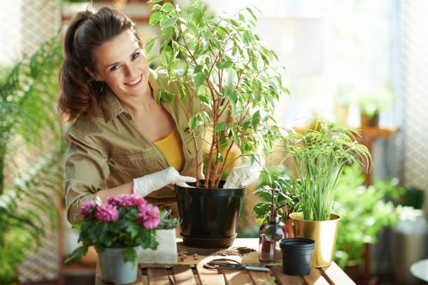 smiling woman in rubber gloves in sunny day do gardening stock photo