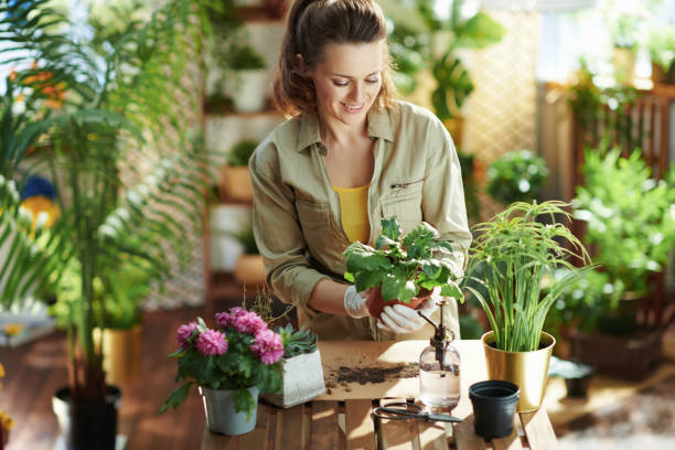 smiling woman in rubber gloves in sunny day do gardening stock photo