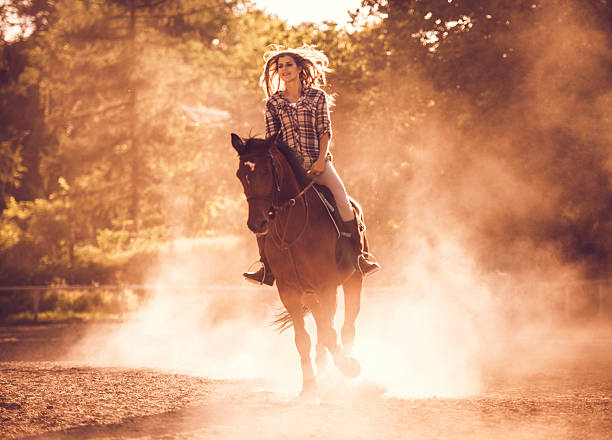 smiling woman riding a stallion at sunset. - smiling earth horse bildbanksfoton och bilder