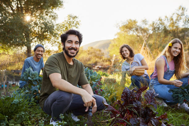 Smiling young friends working in an organic vegetable garden together Portrait of a smiling group of diverse young friends working in an organic vegetable garden on a farm community garden stock pictures, royalty-free photos & images