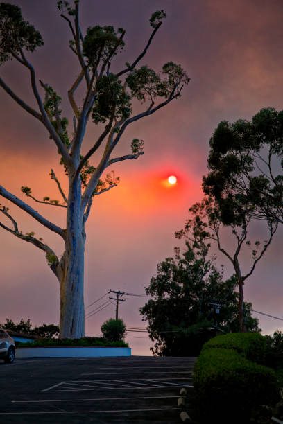 Smoke from the Thomas Fire make the sun red stock photo