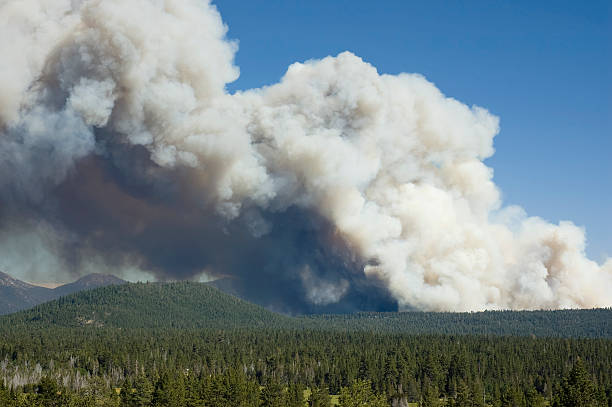 Smoke Plume from Tahoe Fire - Closer View stock photo