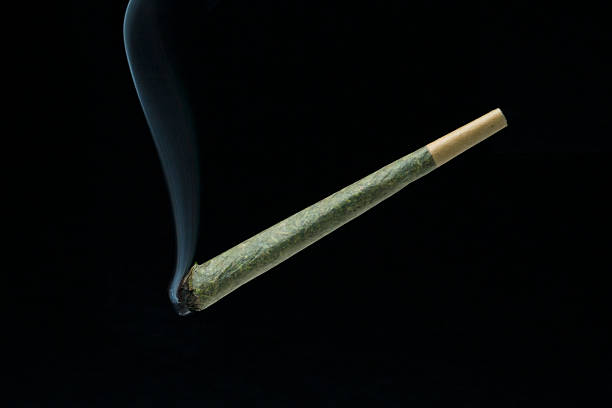 Smoking Joint A just lit joint of cannabis marijuana joint stock pictures, royalty-free photos & images