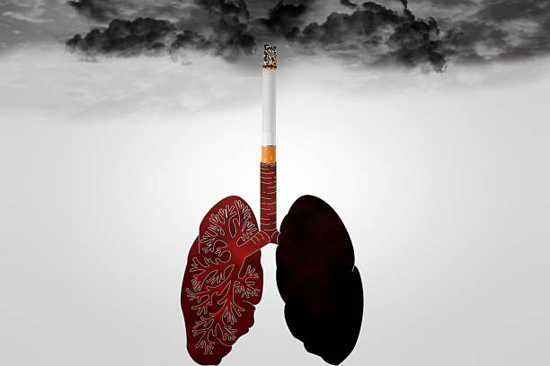 smoking lungs stock photo