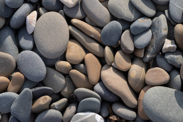 Smoothed, rounded pebbles washed up on a storm ridge of a beach at Ballyquintin Point County Down, Northern Ireland.
