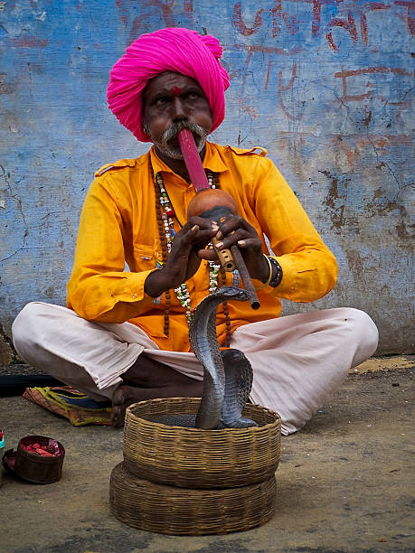 Snake Charmer Playing Flute For Cobra stock photo