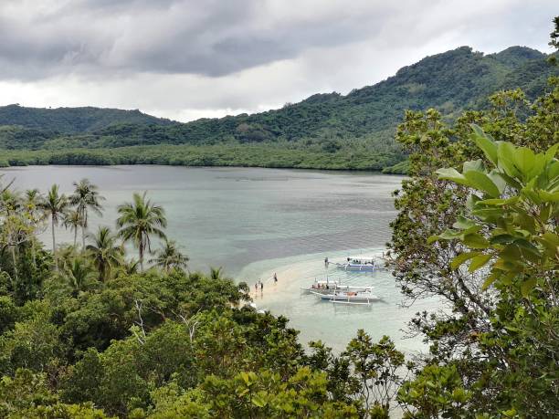 yılan adası, el nido, palawan - snake island stok fotoğraflar ve resimler