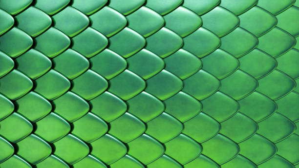 Snake or dragon green skin with scales. Fantasy texture. 3D rendered background. Snake or dragon green skin with scales. Fantasy texture. 3D rendered background animal scale stock pictures, royalty-free photos & images