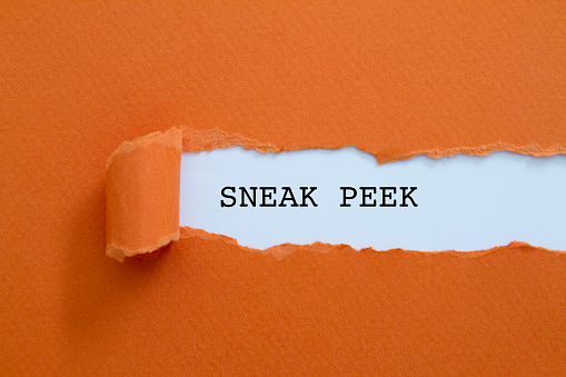 Lissa Bryan: Sneak Peek Sunday: ARE YOU MINE? by N. K. Smith