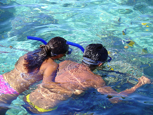 Snorkeling In the Tropics stock photo