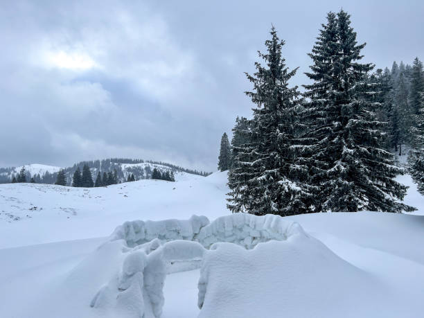 Snow igloo stock photo