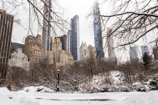 Snow in Central Park stock photo