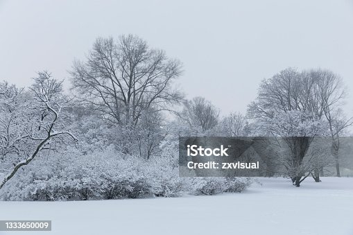 istock Snow  in Central Park 1333650009