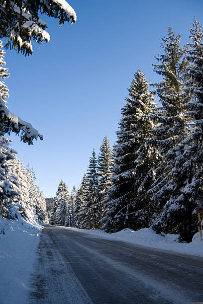 Snow road  lepro stock pictures, royalty-free photos & images