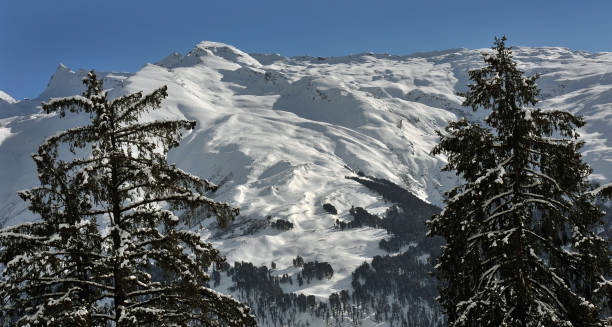 schneeglanz - alpen unscharf winter stock-fotos und bilder