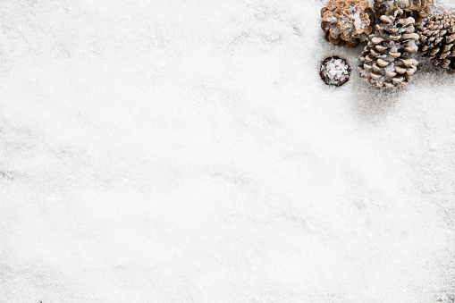 Snow Wallpaper For Winter And December Copy Space Flat Lay 照片檔及更多pinaceae 照片 Istock