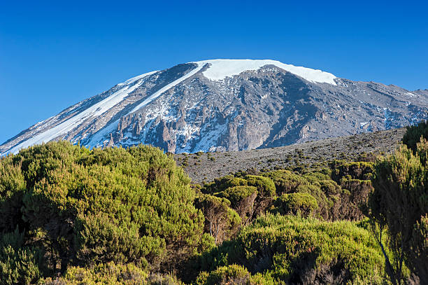 Snowcapped summit of Mount Kilimanjaro, Tanzania The snowcapped summit region of Mount Kilimanjaro, with 5.895 m Africas highest mountain as well as worlds highest free-standing mountain. Seen from the Millenium Camp at Mweka-route, shot at an altitude of approx. 3900 m. mt kilimanjaro photos stock pictures, royalty-free photos & images
