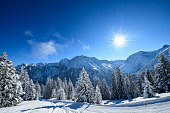 istock Snowcapped trees in ski resort at winter morning 1299419125