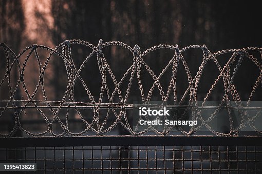 istock Snow-covered barbed wire fence with evening sunlight 1395413823